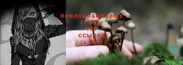 герыч Карпинск