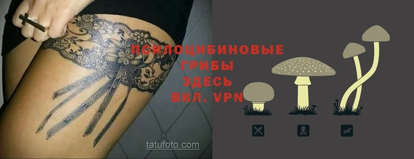 герыч Карпинск